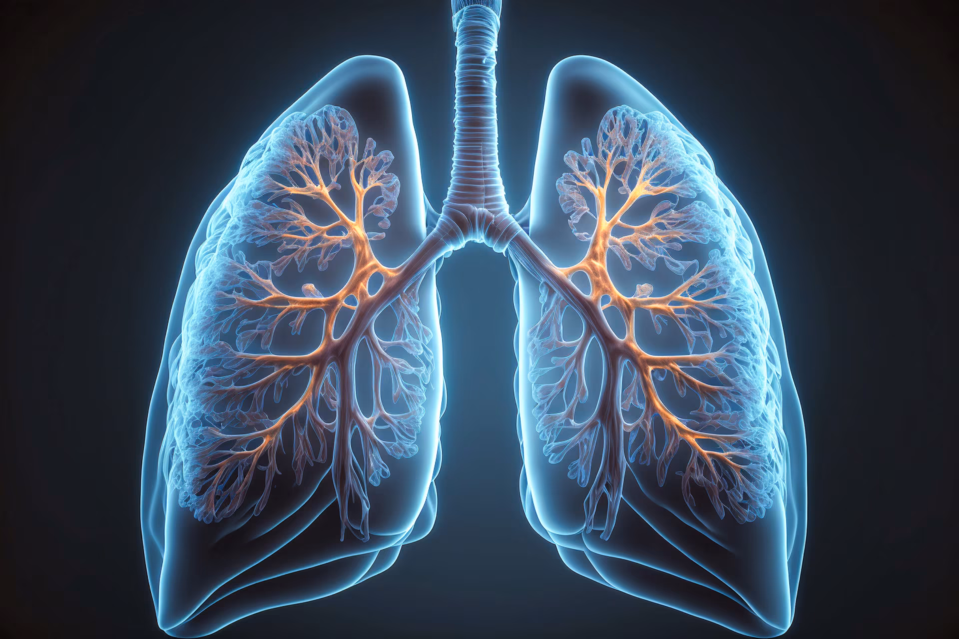 AI generated inside lung