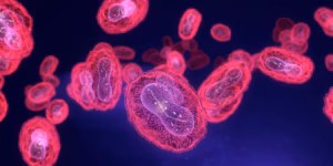 mpox