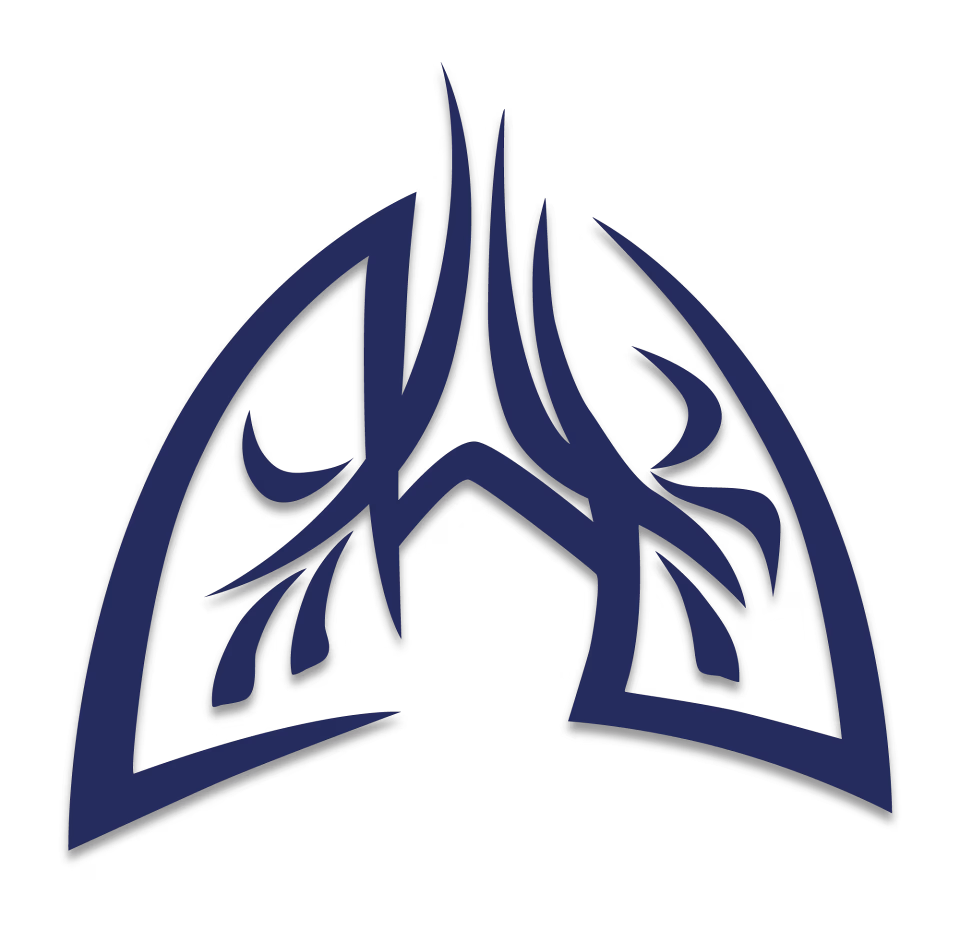 International Workshops on Lung Health