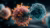 HIV T cell HIV persistence