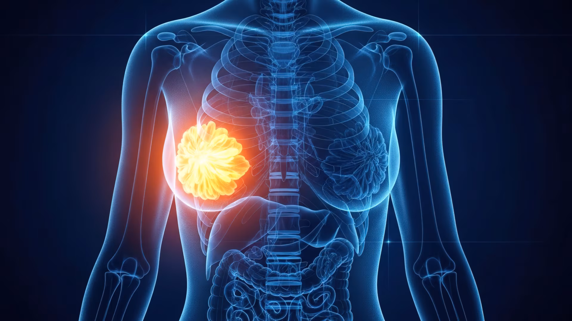 Female breast anatomy glowing orange, 3d Medical illustration, women's health