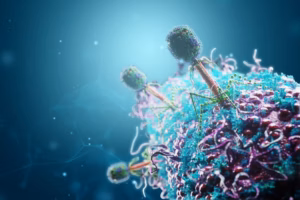 AMR bacteriophage