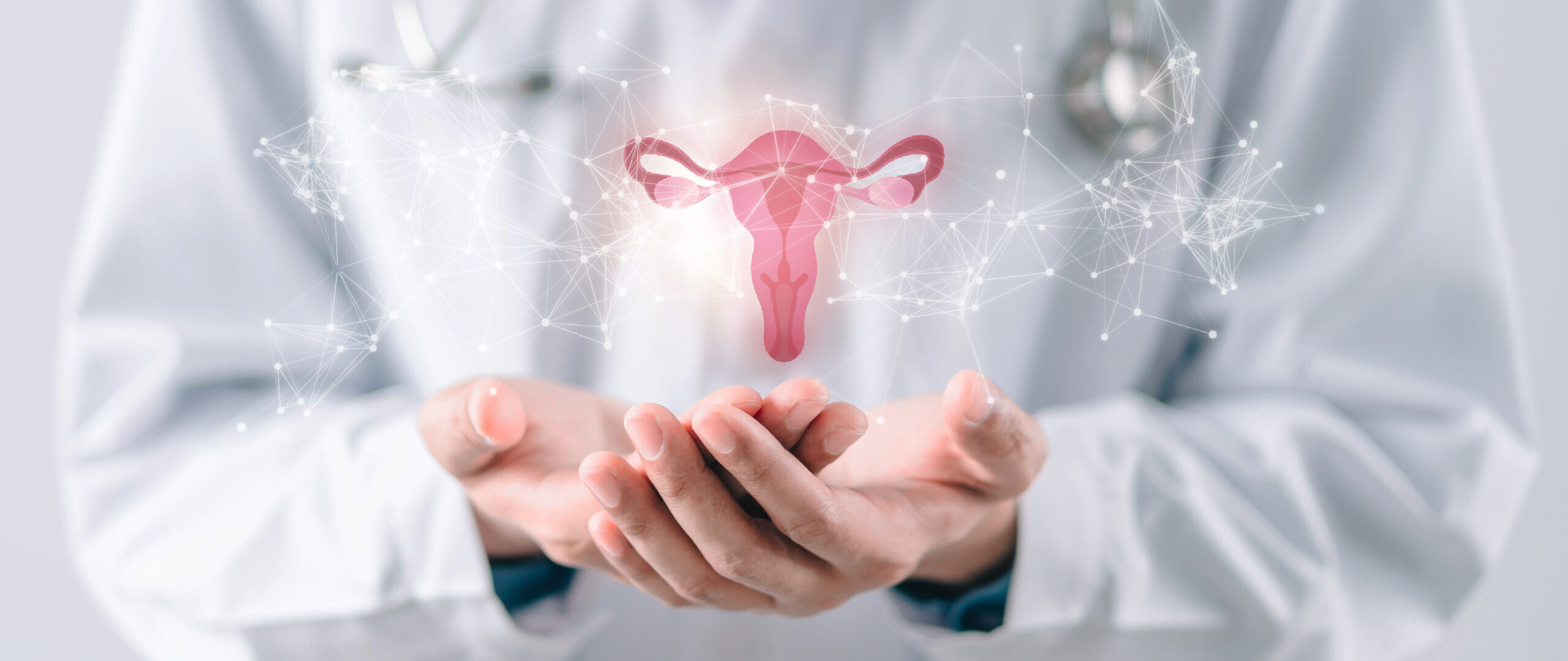 doctor in a white coat holding virtual uterus reproductive system , woman health, PCOS, ovary gynecologic and cervix cancer, Healthy feminine concept
